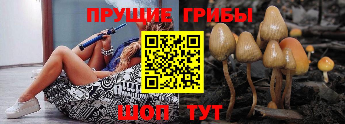 Новокубанск  Псилоцибиновые грибы мицелий  Вход с VPN  Псилоцибиновые грибы Cubensis 